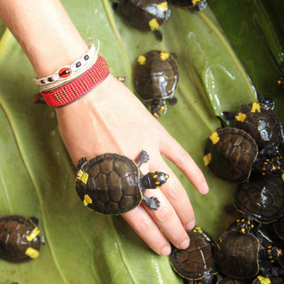Model holding baby turtles while wearing an Amazon Enamora Bracelet - Love Is Project